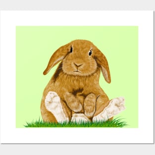 Rabbit Posters and Art